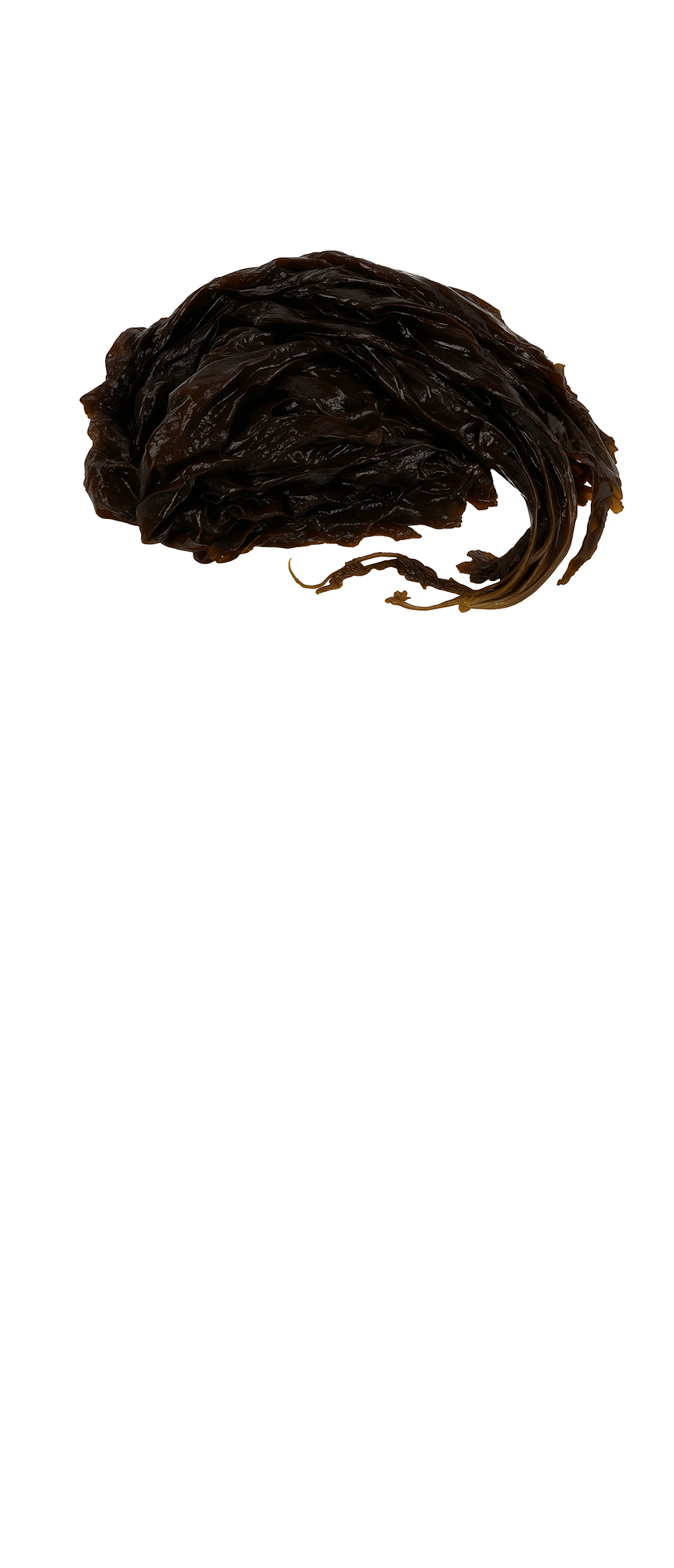 물미역 국내산 1kg